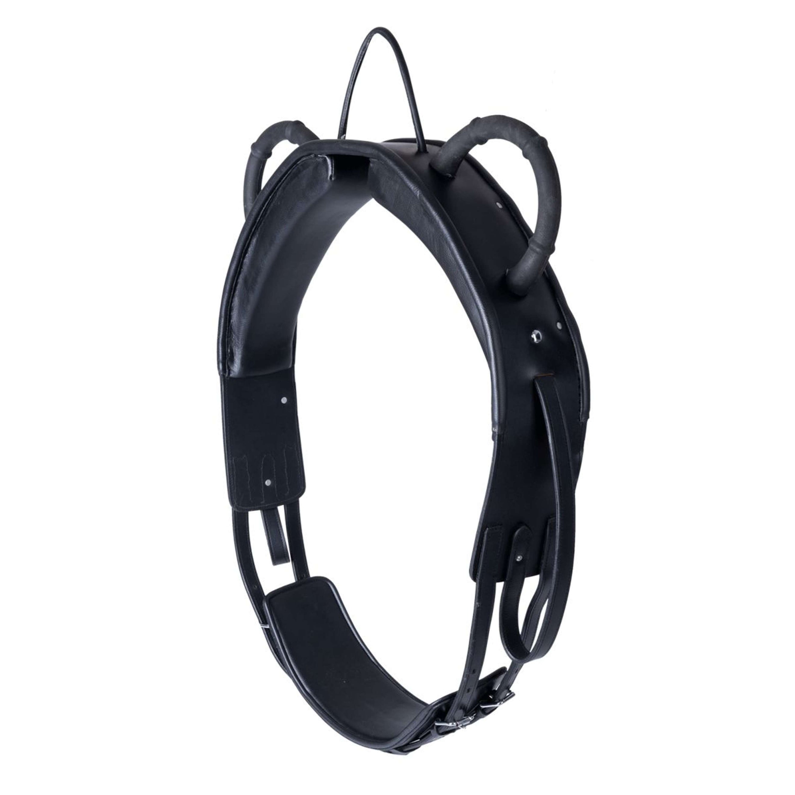 Waldhausen Voltegiergurt Training Schwarz Waldhausen Voltegiergurt Training Schwarz