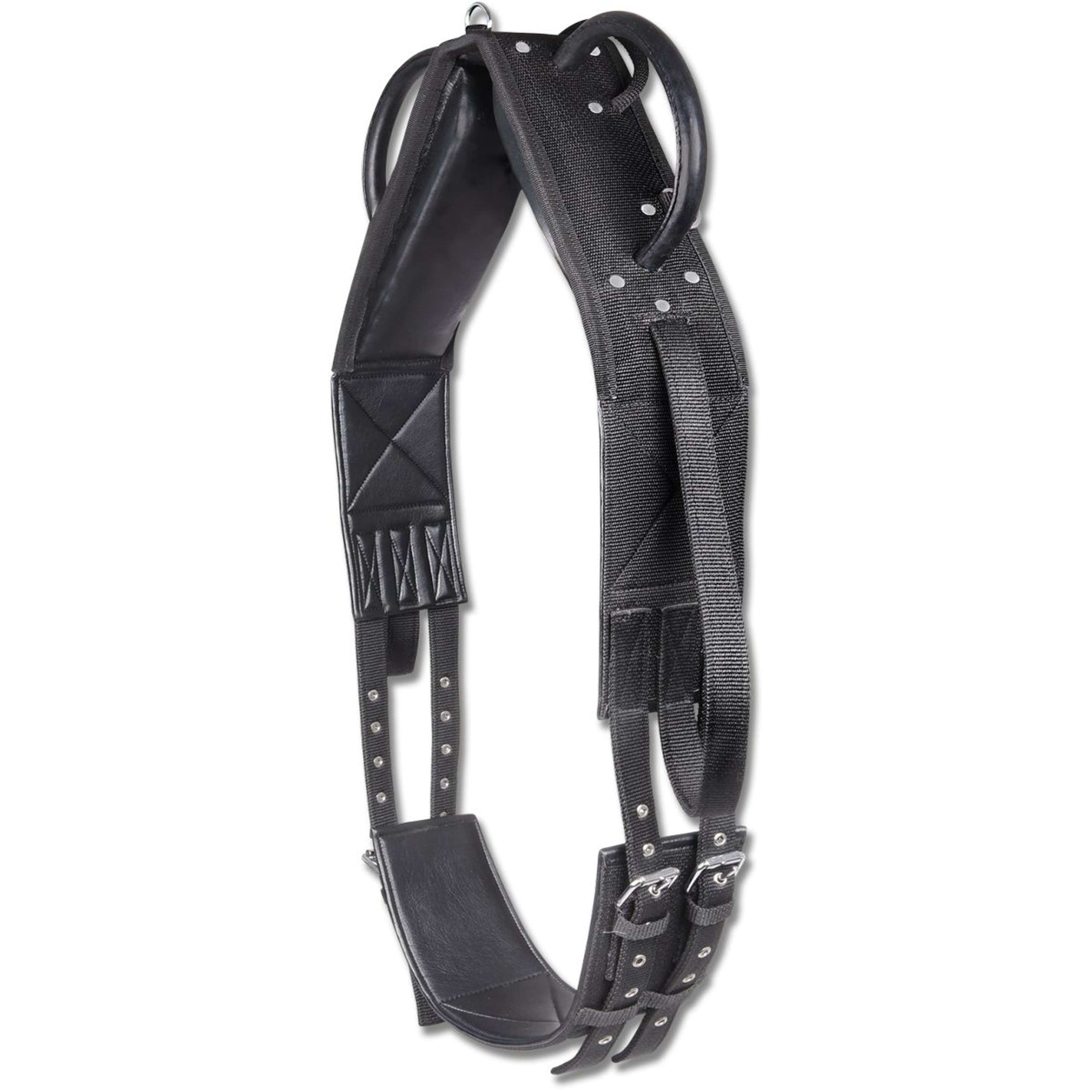 Waldhausen Longier/Voltigiergurt Schwarz Waldhausen Longier/Voltigiergurt Schwarz