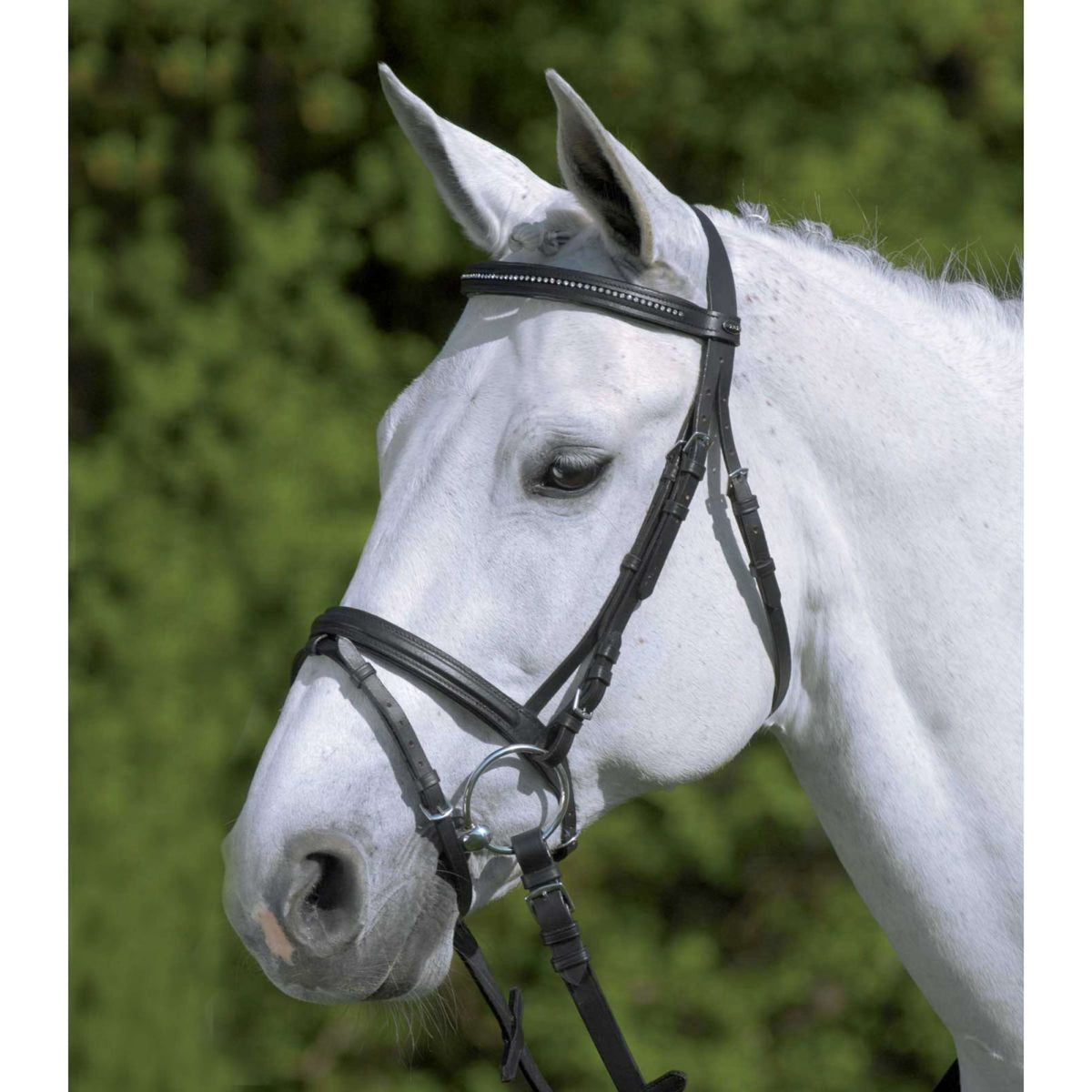 Star Trense Diamond Englisch Kombiniert Schwarz