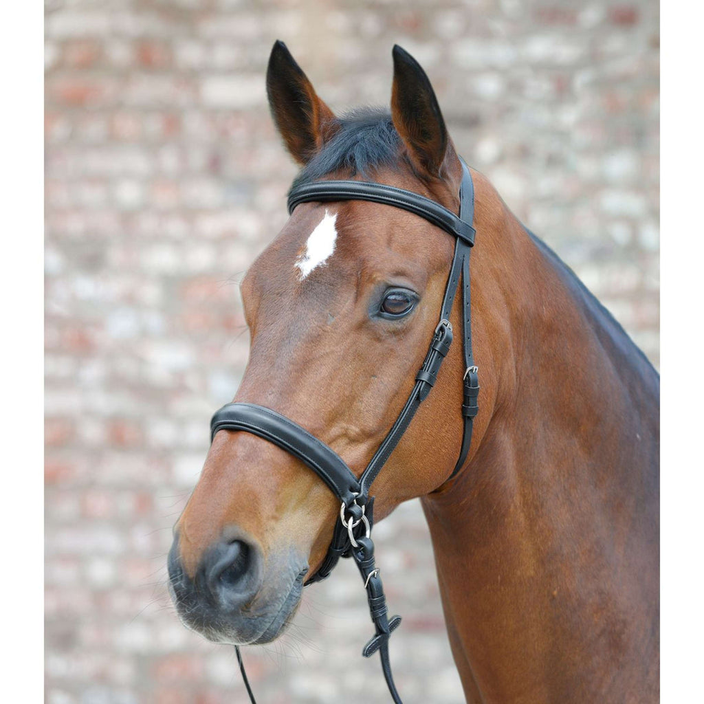 Star Gebisslose Trense Schwarz