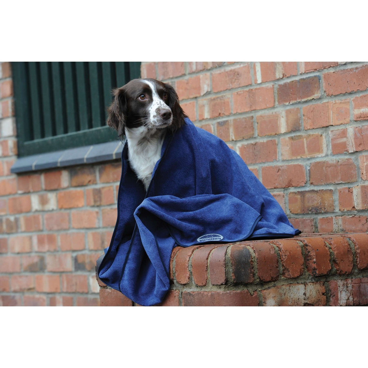 Weatherbeeta Dog Towel Blau
