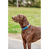 Weatherbeeta Dog Collar Elegance Blau