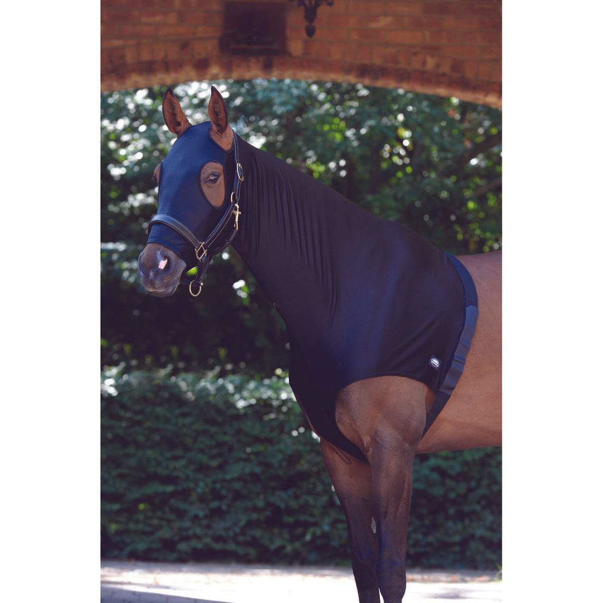 WeatherBeeta Hood Stretch with Zip Schwarz