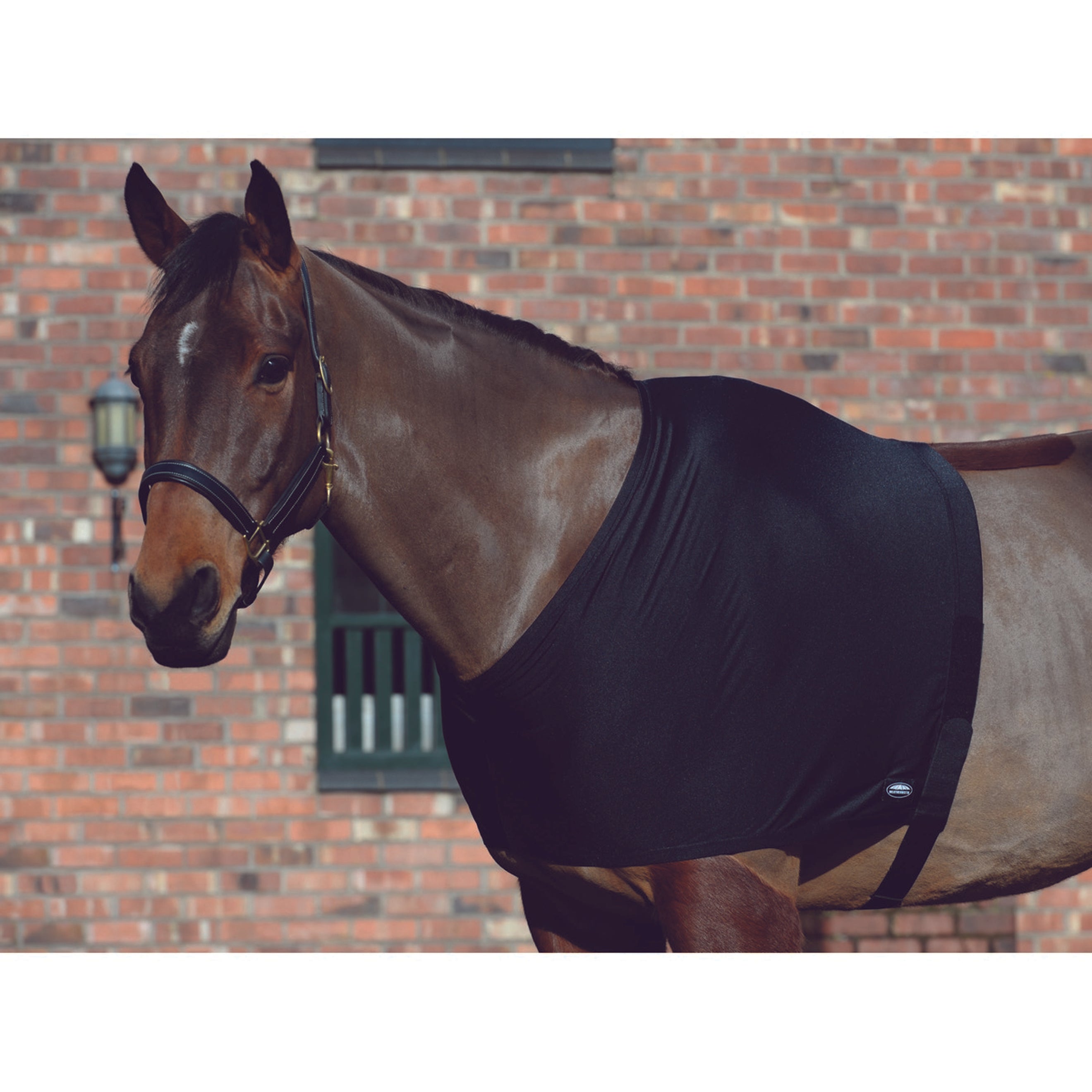 WeatherBeeta Shoulder Guard Stretch Schwarz