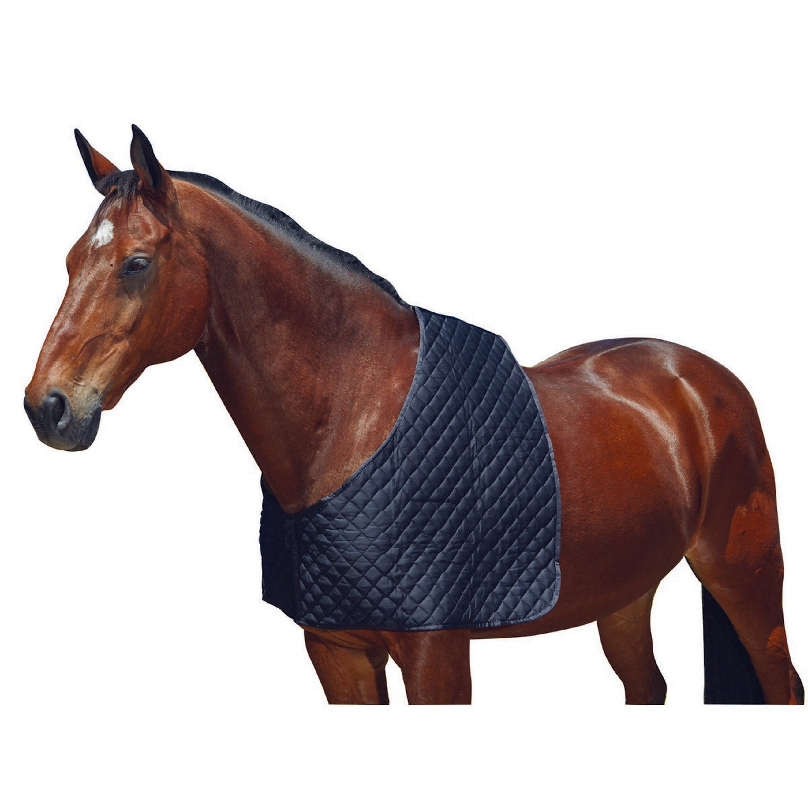 WeatherBeeta Shoulder Guard Deluxe Schwarz WeatherBeeta Shoulder Guard Deluxe Schwarz