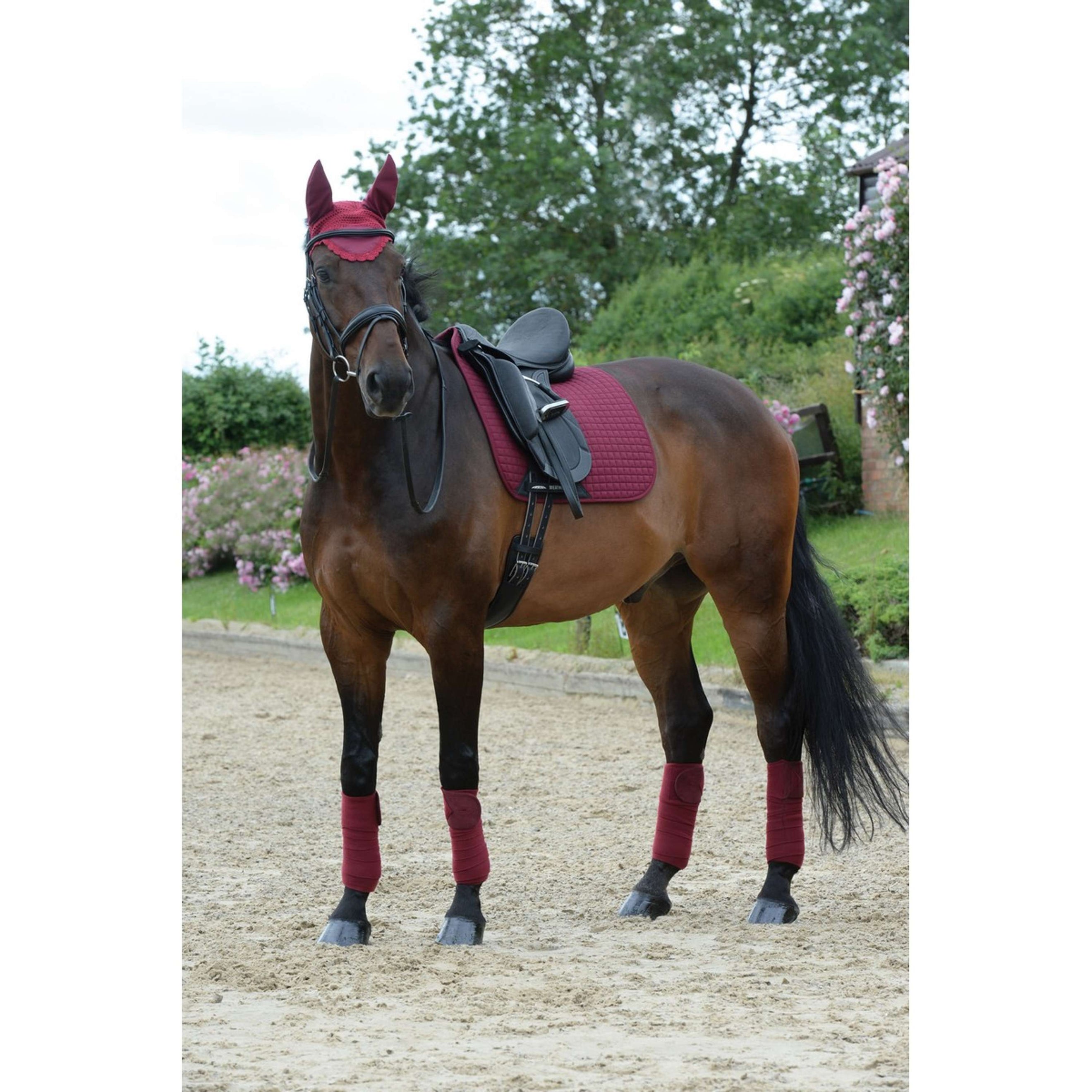 WeatherBeeta Fleecebandagen Prime 4 Stück Maroon