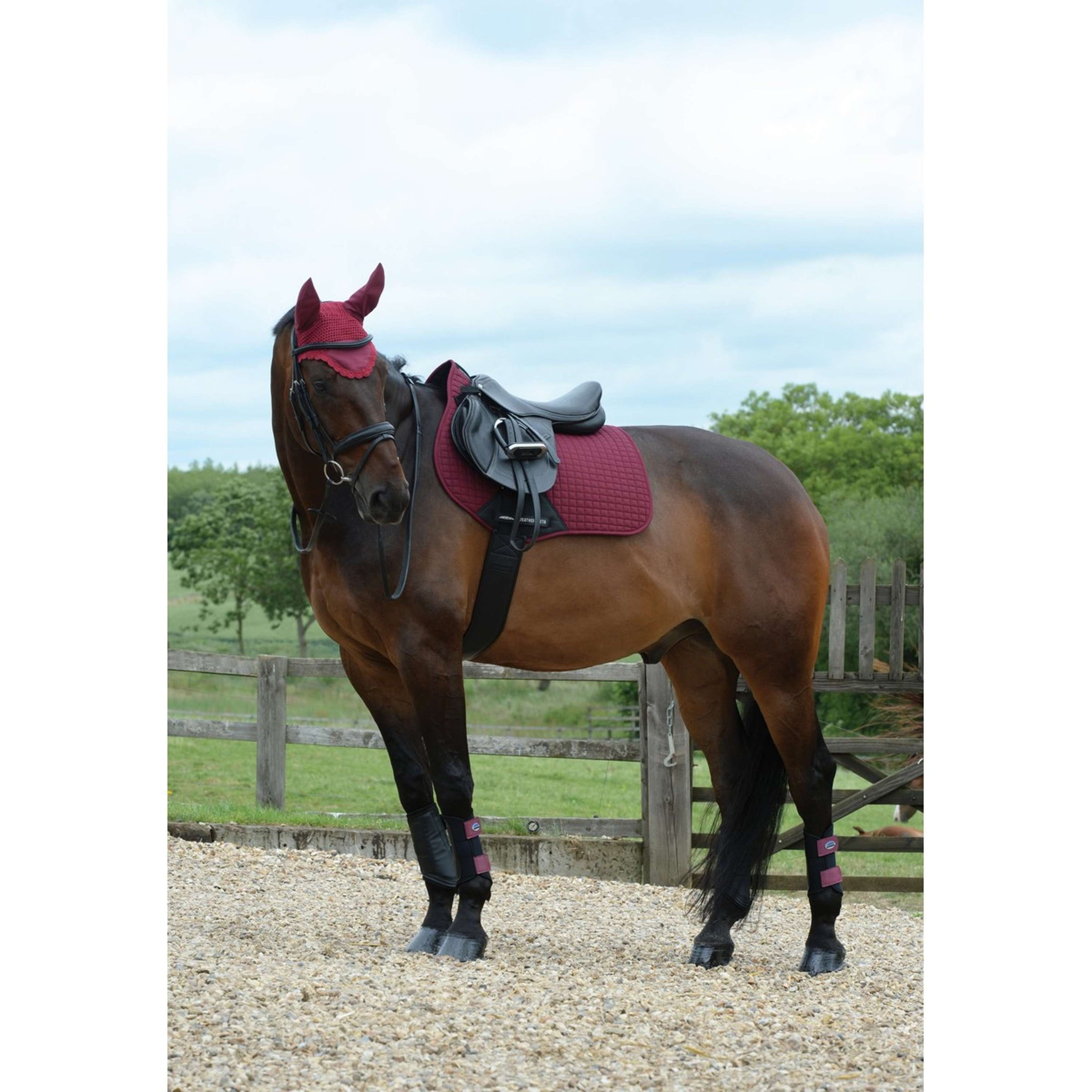Weatherbeeta Schabracke Prime Vielseitigkeit Maroon Weatherbeeta Schabracke Prime Vielseitigkeit Maroon
