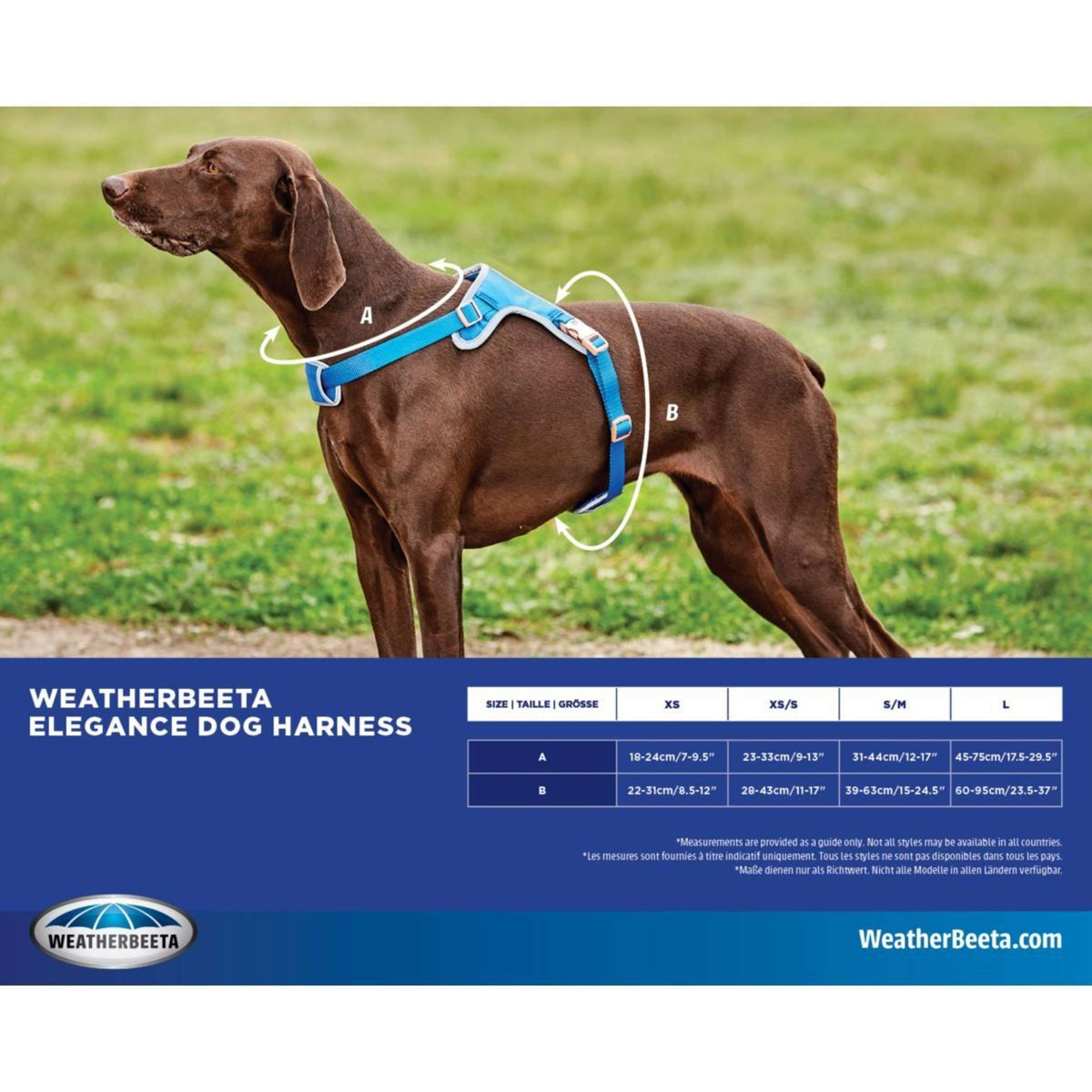 Weatherbeeta Dog Harness Elegance Schwarz