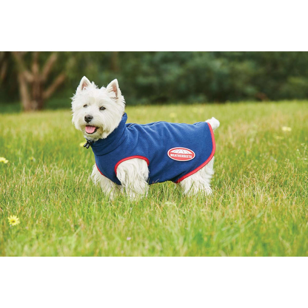 Weatherbeeta Hundejacke Comfitec Fleece Zip Navy/Rot