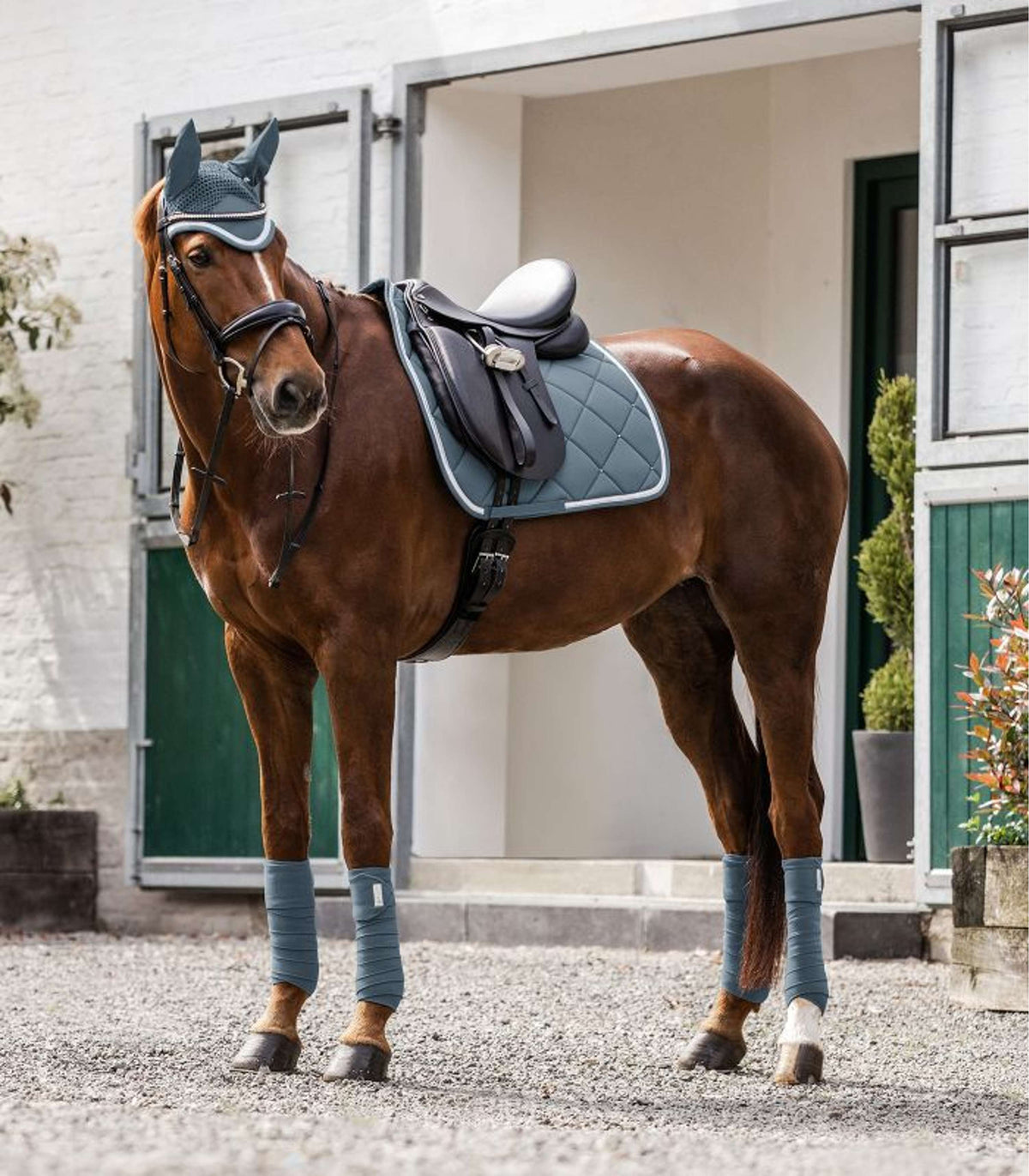 Waldhausen Fliegenhaube Competition Kreideblau