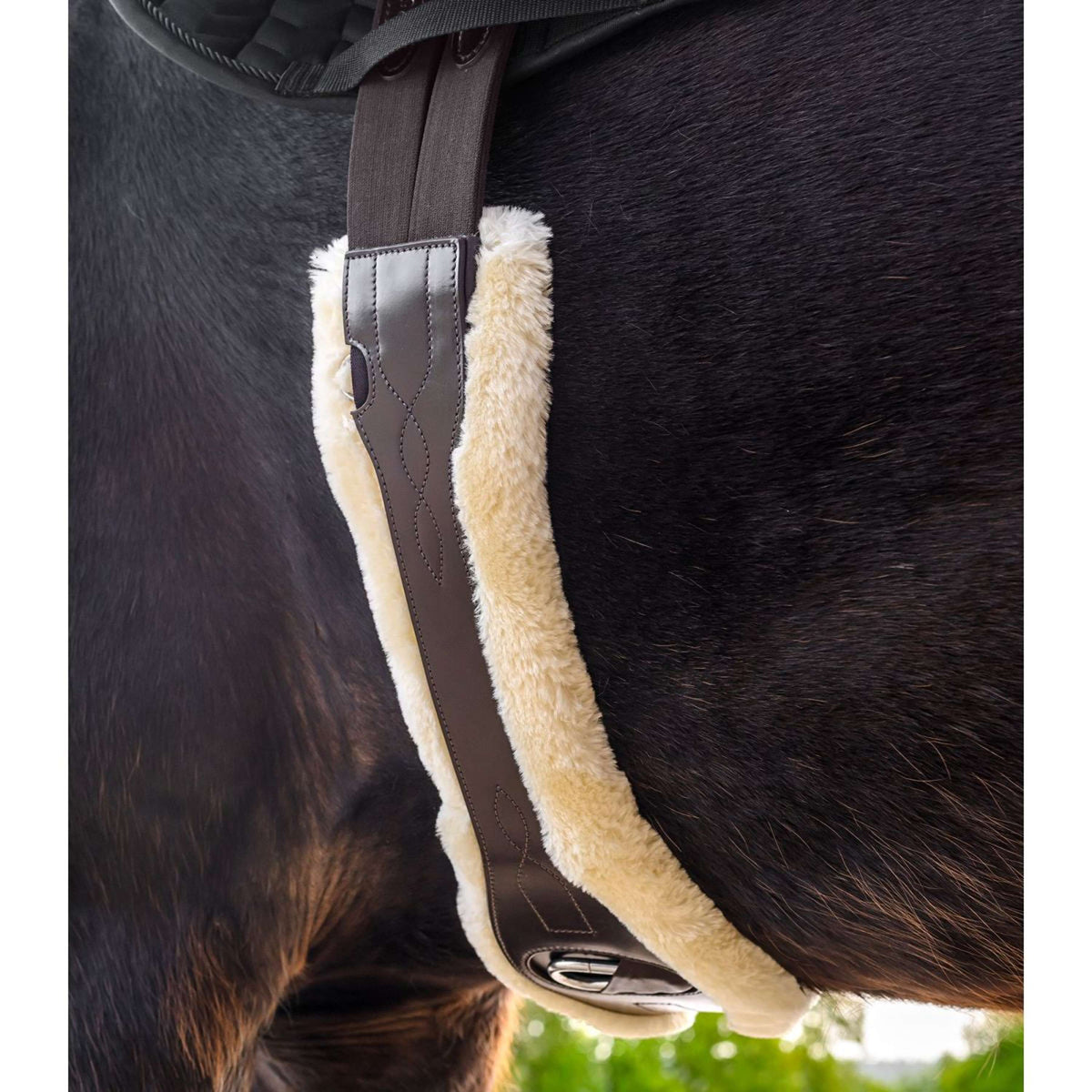 Produktbild von Waldhausen Sattelgurt Comfort, Langgurt, Leder
