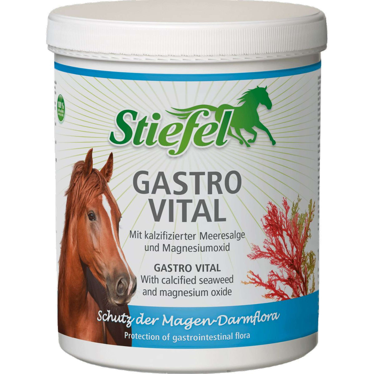 Stiefel Gastro Vital