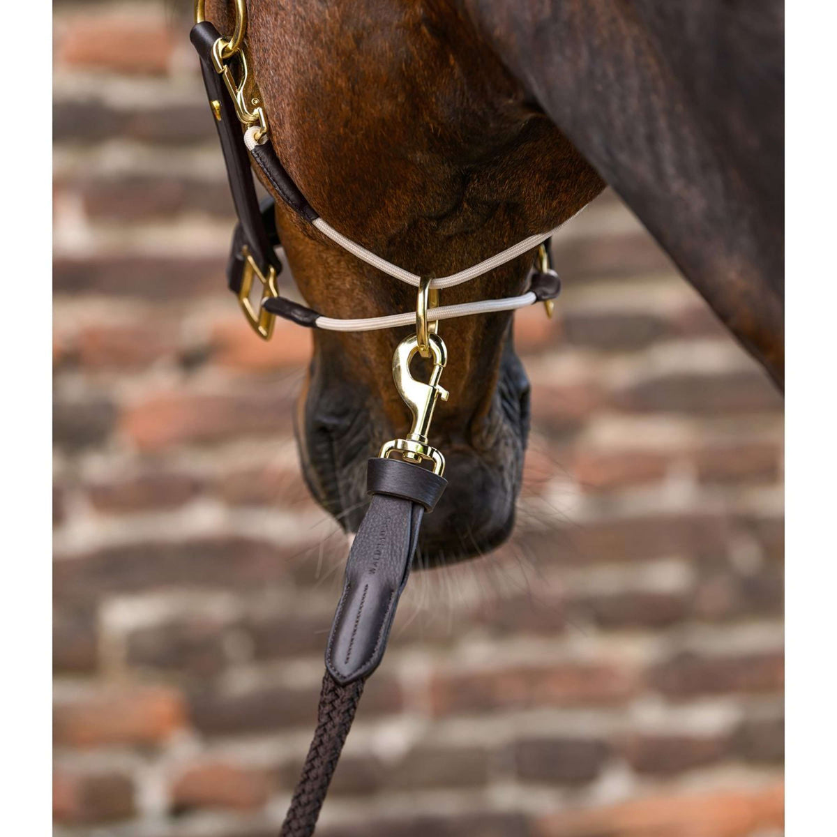 Waldhausen Führstrick Royal mit Karabinerhaken Braun