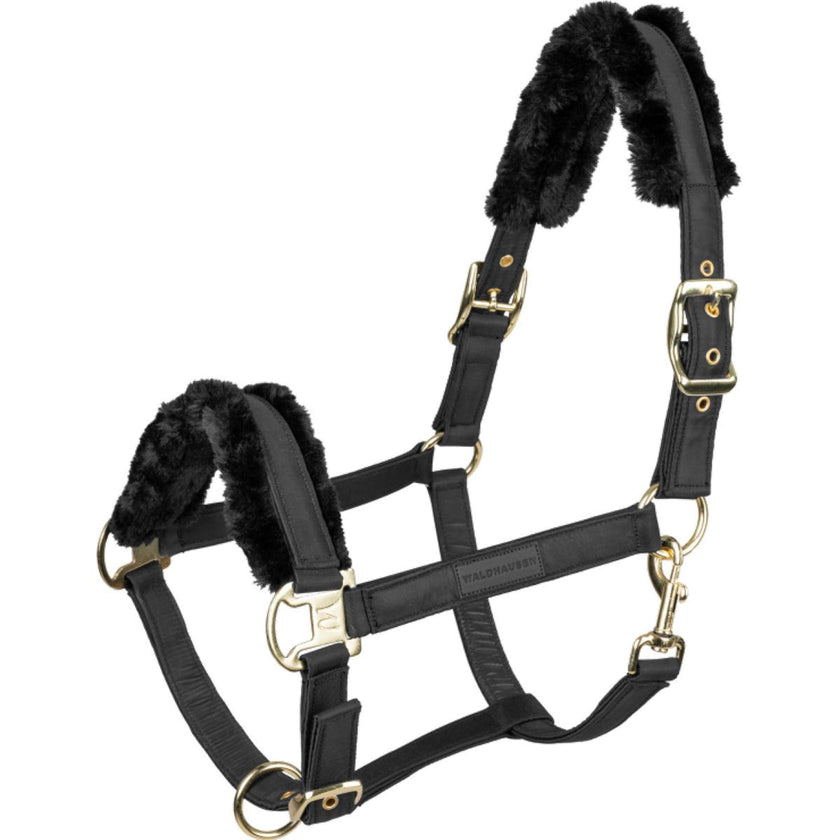 Waldhausen Halfter Exclusive Schwarz/Schwarz Waldhausen Halfter Exclusive Schwarz/Schwarz