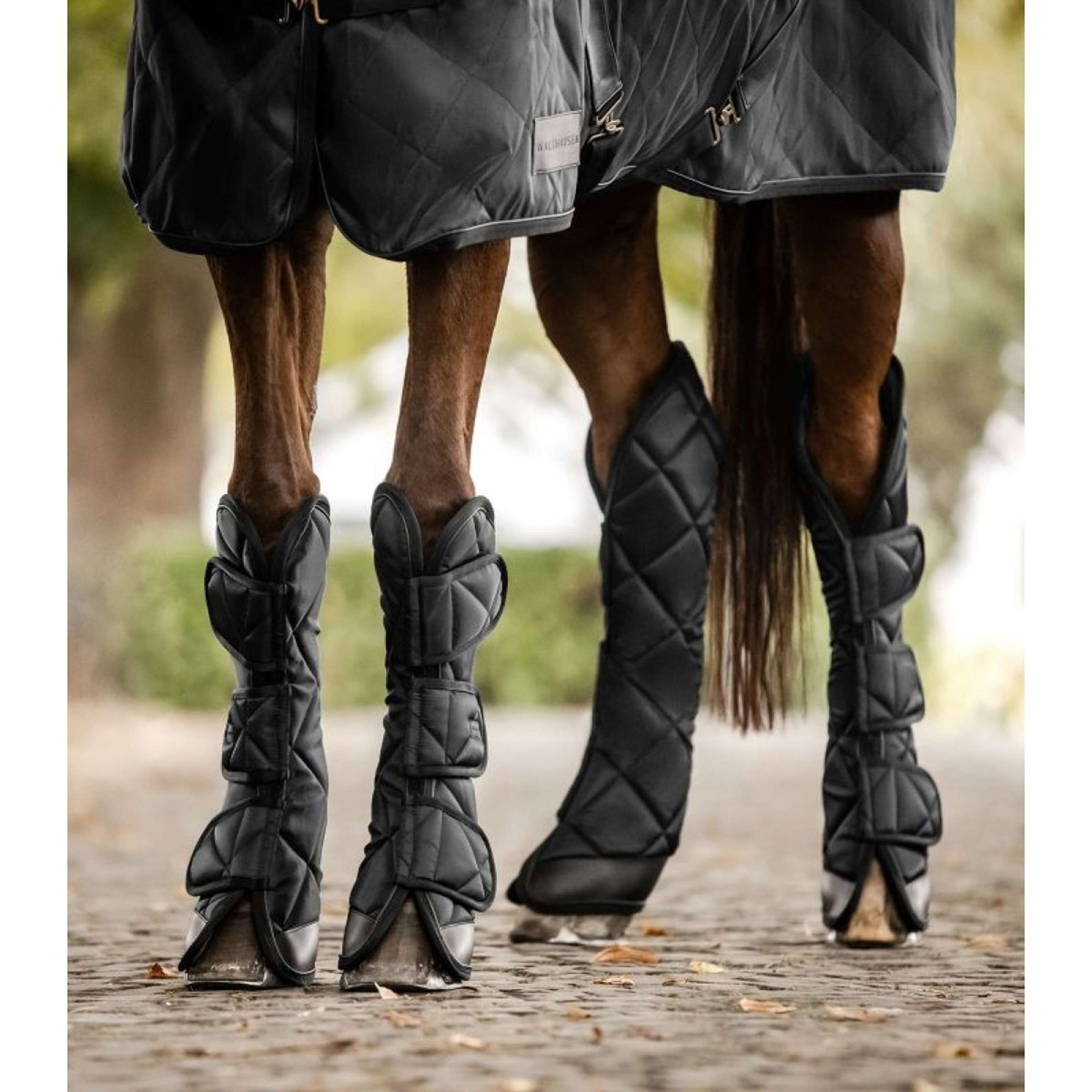 Waldhausen Transportgamaschen Exclusive Schwarz Waldhausen Transportgamaschen Exclusive Schwarz