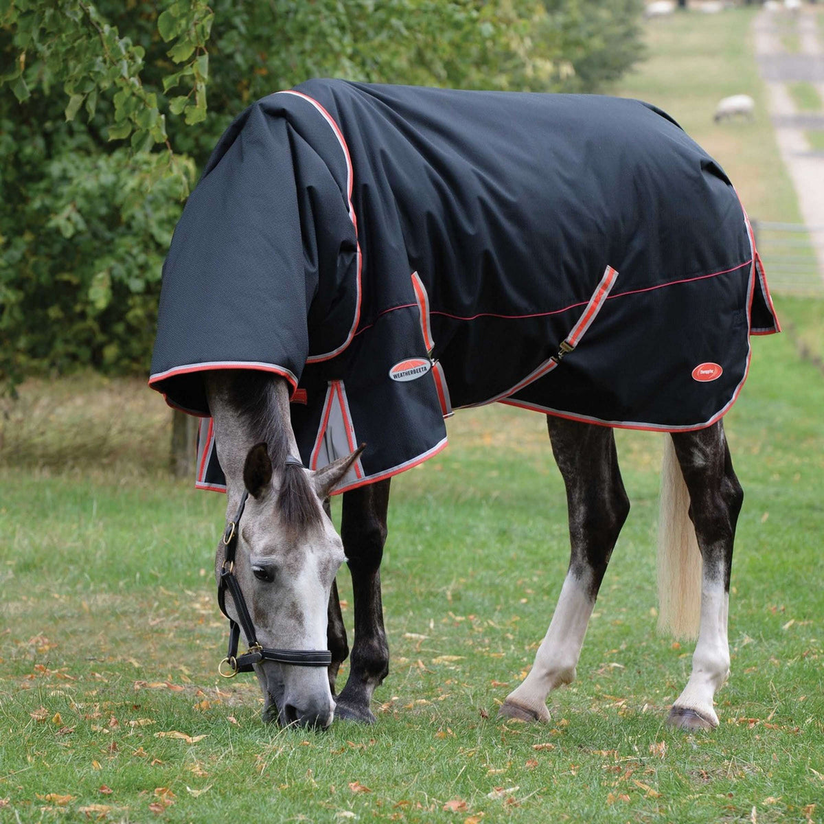 Weatherbeeta Therapy Rug Comfitec Premier Therapy-Tec Detach-A-Neck Lite Plus Schwarz/Silber/Rot