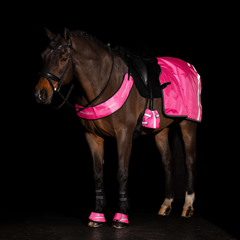 Imperial Riding Brustgeschirr IRHReflective Pink