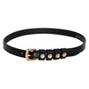 Imperial Riding Sporenriemen IRHPardouz Schwarz/Rosegold