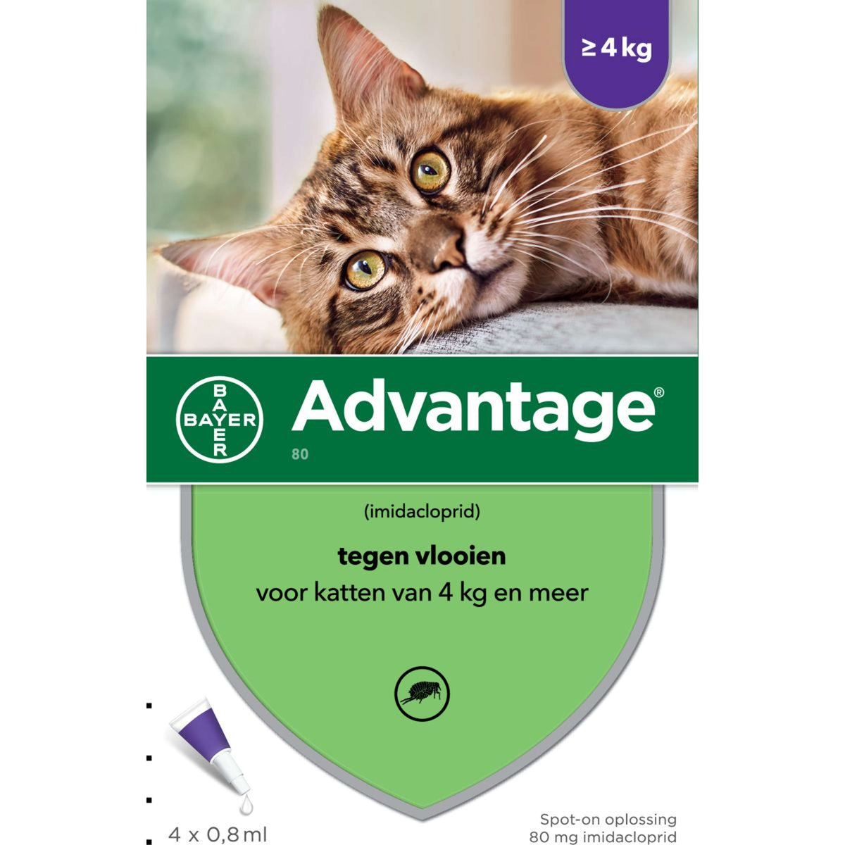 Advantage Advantage 80 Spot-On Katze 4-8kg