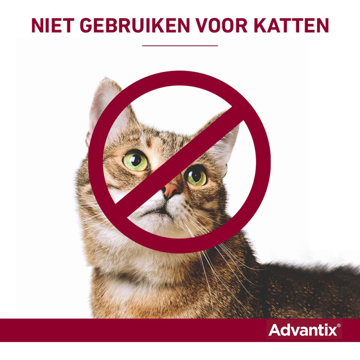 Advantix 250/1250 Spot-On Hund 10-25kg