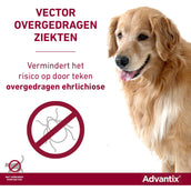 Advantix 250/1250 Spot-On Hund 10-25kg