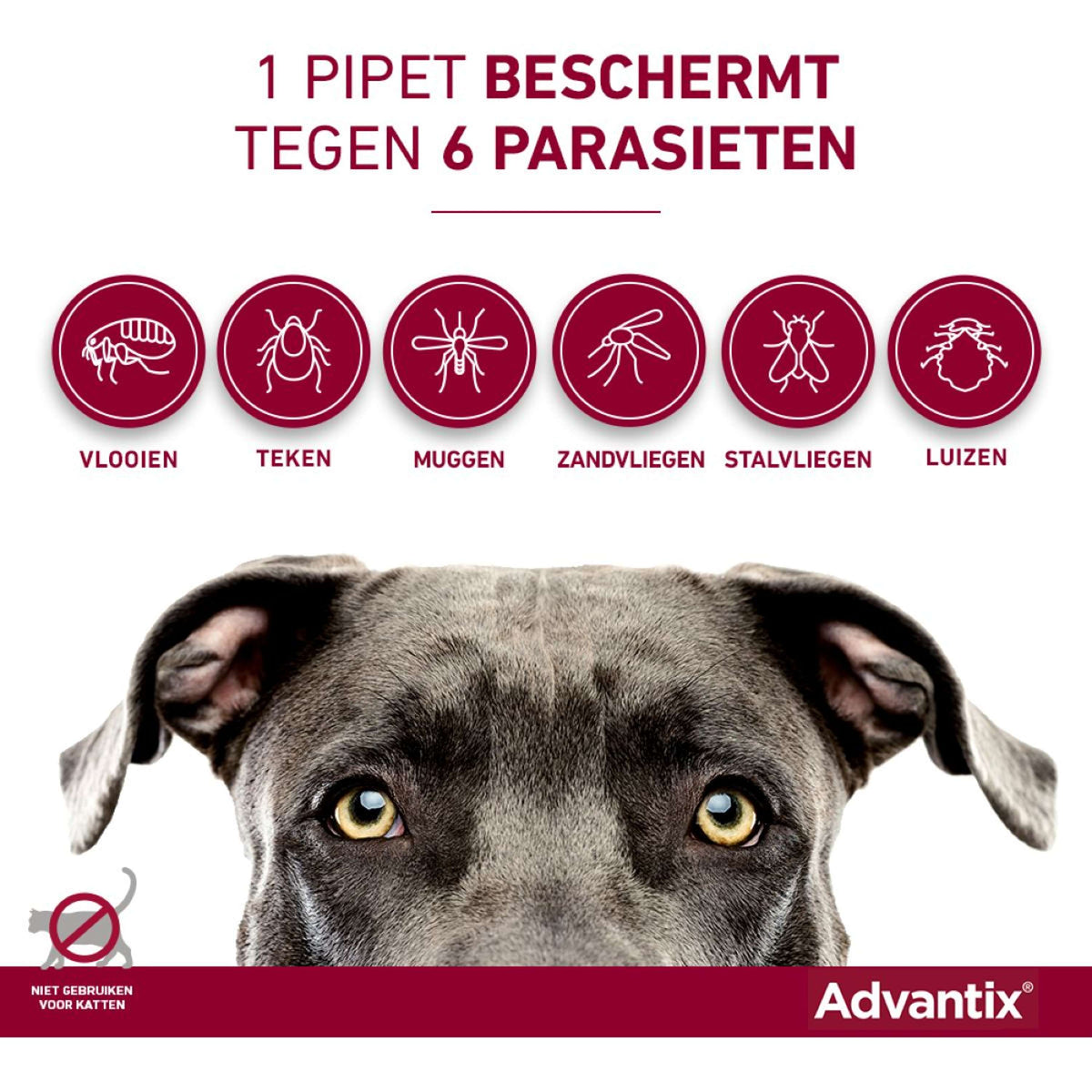 Advantix 100/500 Spot-On Hund 4-10kg