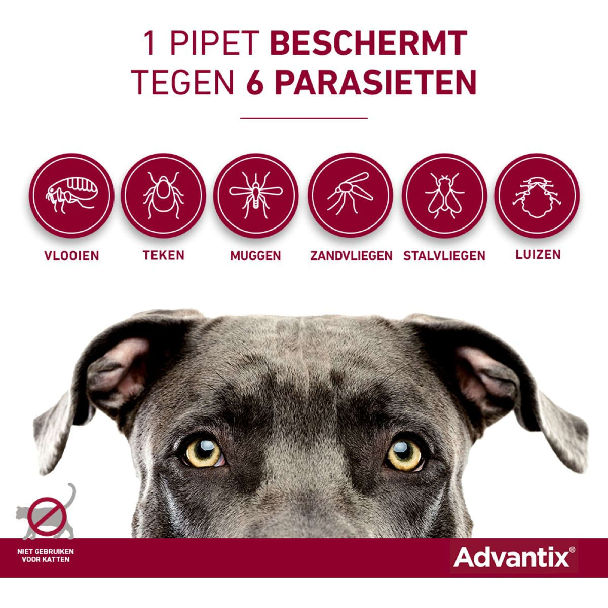 Advantix 400/2000 Spot-On Hund 25-40kg