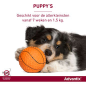 Advantix 250/1250 Spot-On Hund 10-25kg