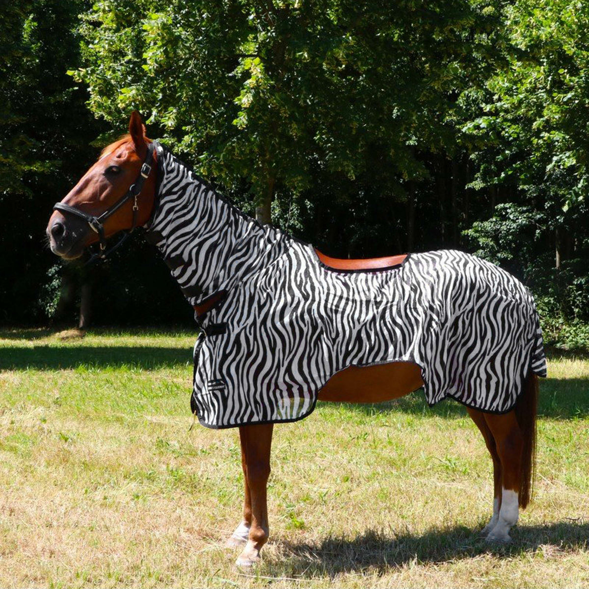 HKM Fliegenausreitdecke Zebra