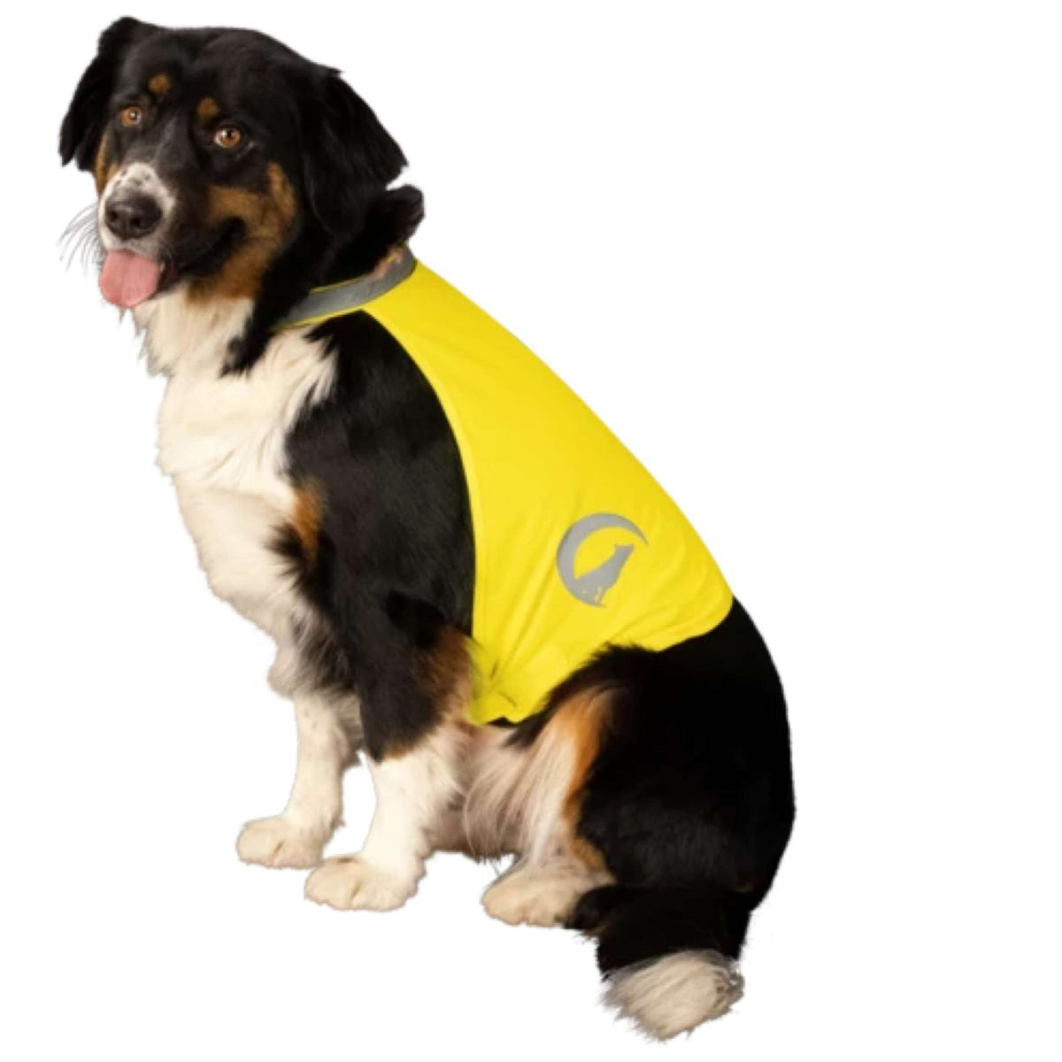 Excellent Dog Safety Vest Nightwalk Gelb