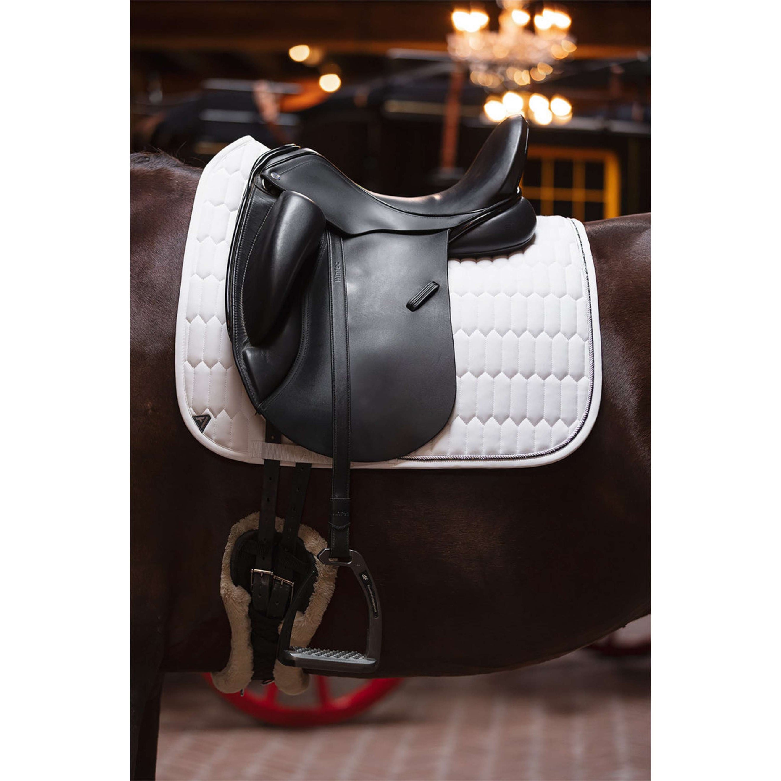 ANKY Schabracke Perception C-Wear Dressur Weiß ANKY Schabracke Perception C-Wear Dressur Weiß