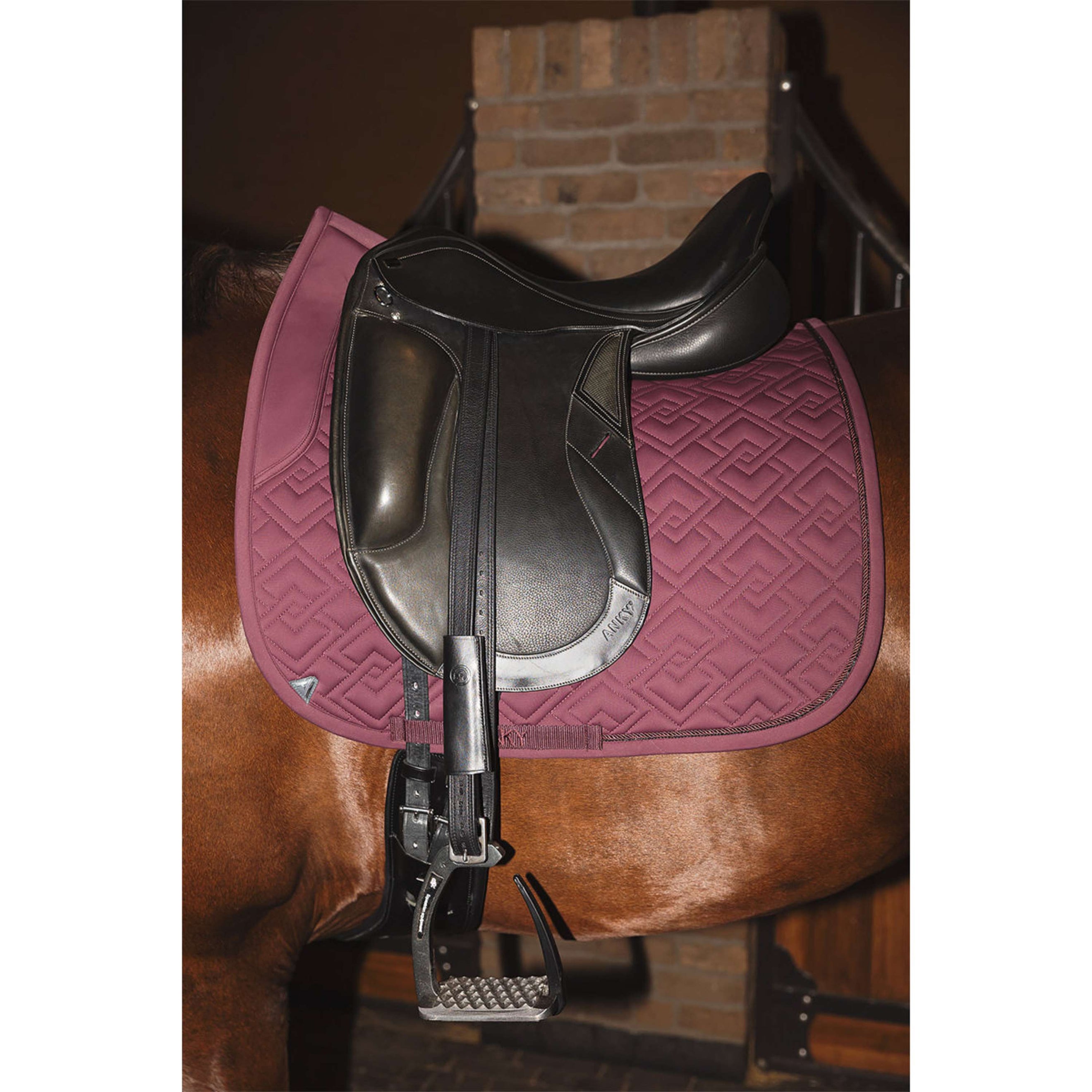 ANKY Schabracke Professional XB25001 3C Dressur Sassafras ANKY Schabracke Professional XB25001 3C Dressur Sassafras