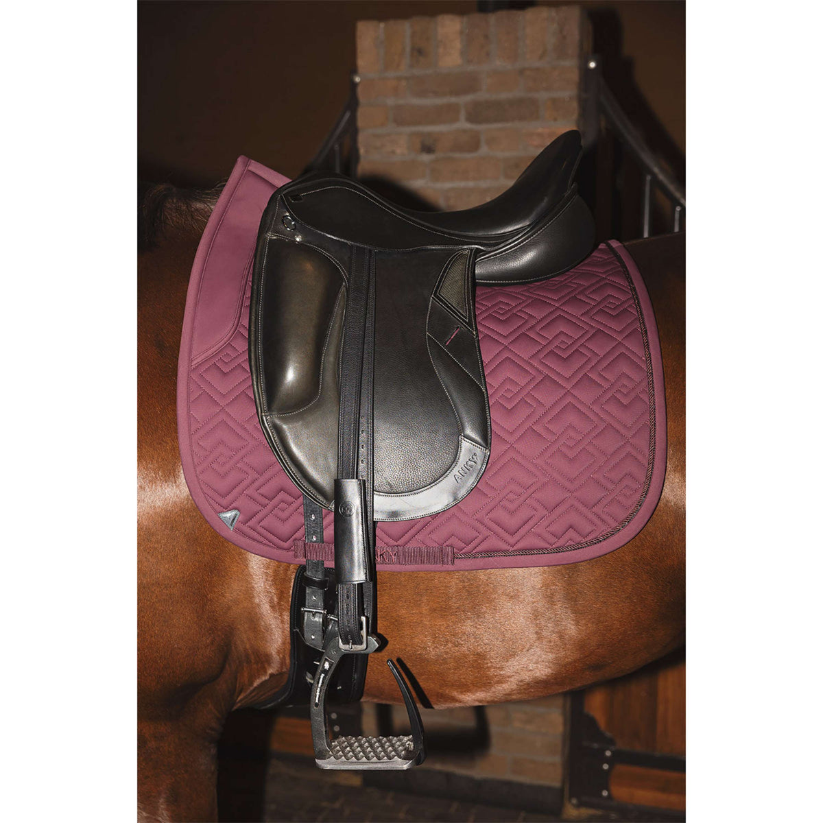 ANKY Schabracke Professional XB25001 3C Dressur Sassafras