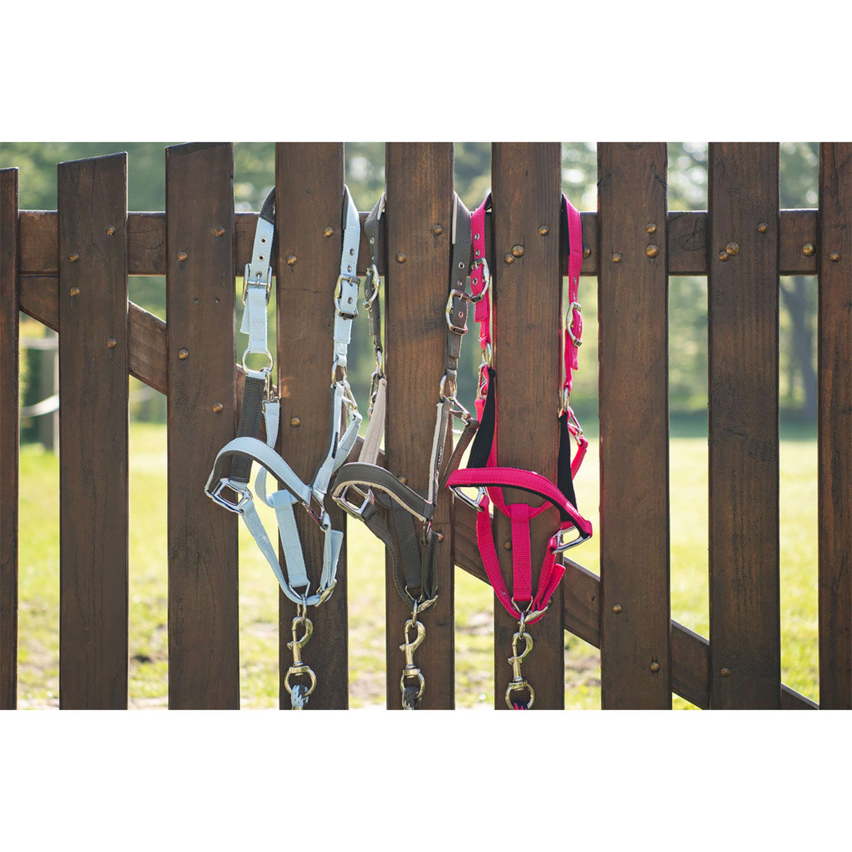 ANKY Halfterset ATH261001 Innuendo