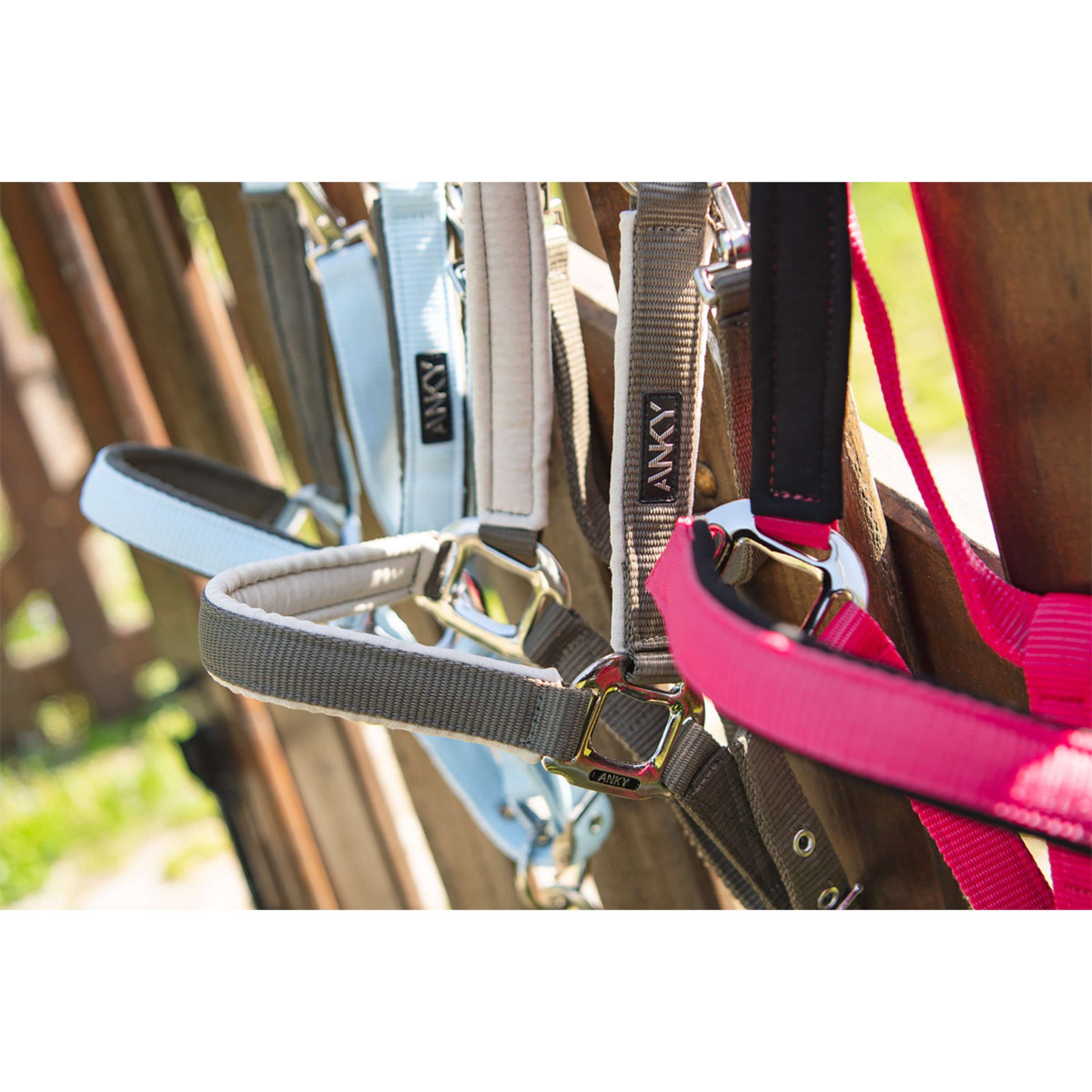 ANKY Halfterset ATH261001 Bungee Cord ANKY Halfterset ATH261001 Bungee Cord