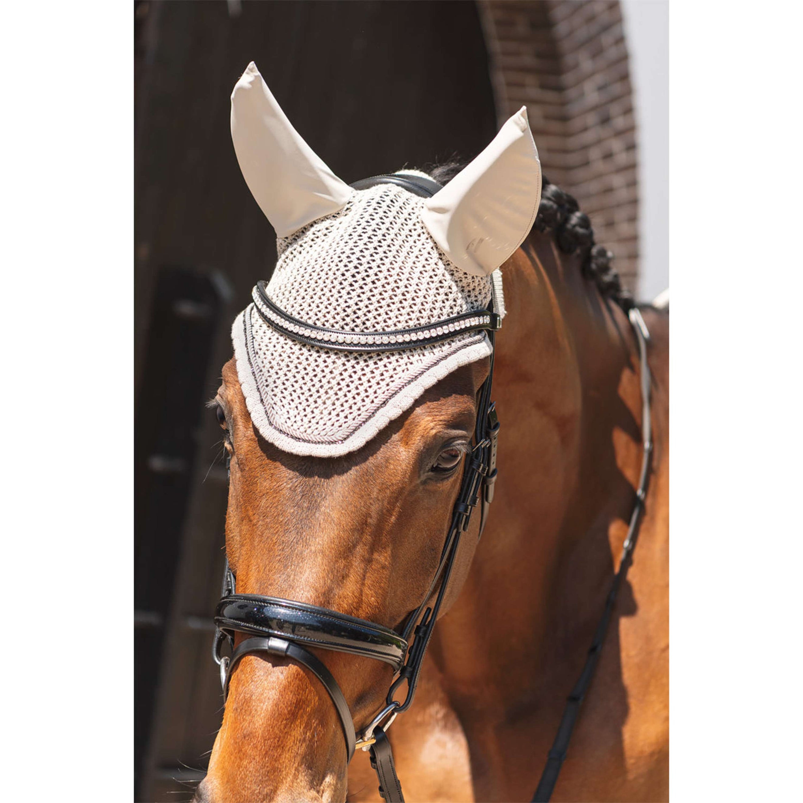 ANKY Fliegenhaube ATB261004 Island Fossil ANKY Fliegenhaube ATB261004 Island Fossil