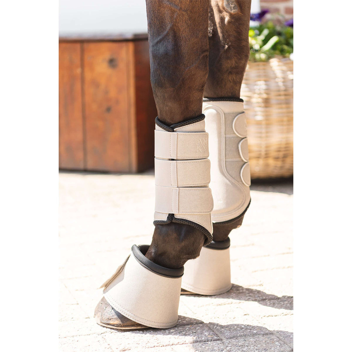 ANKY Hufglocken Bell ATB261003 Island Fossil