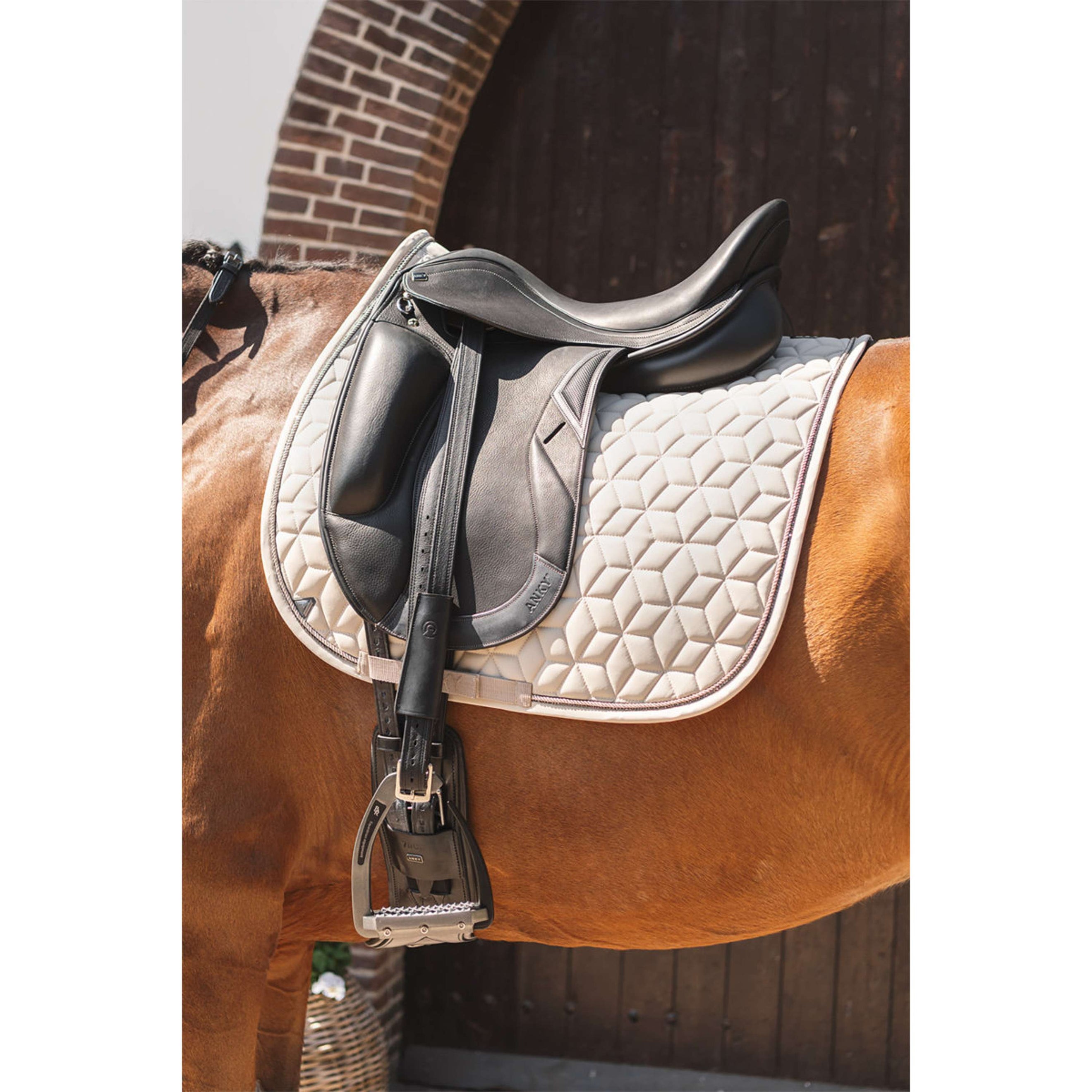 ANKY Schabracke Vivacity XB261111 Dressur Island Fossil