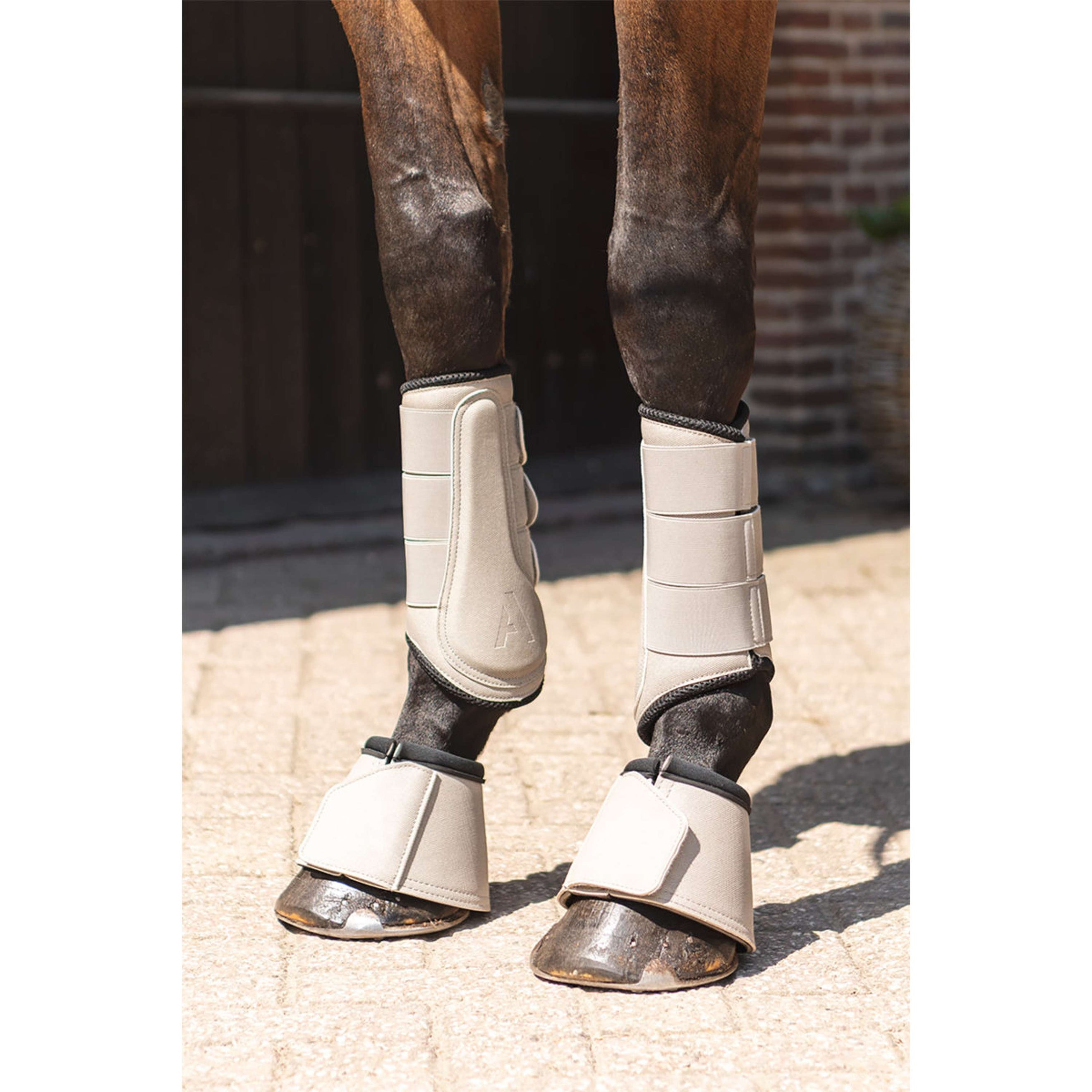 ANKY Dressage Boots Proficient ATB261001 Island Fossil