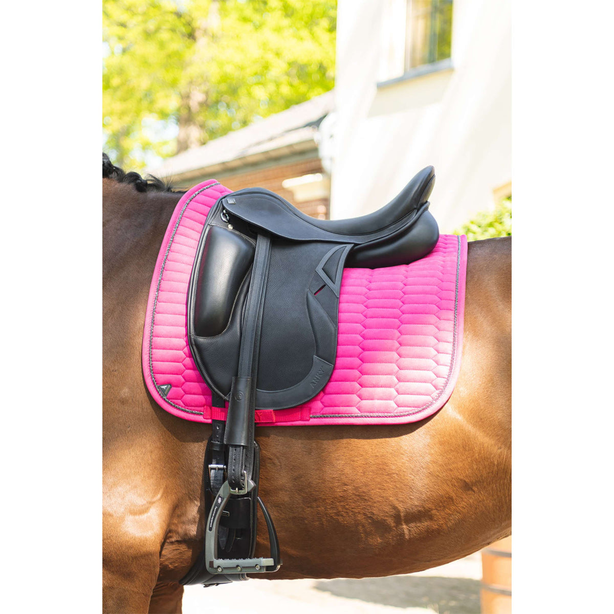 ANKY Schabracke Suede XB261112 Dressur Innuendo