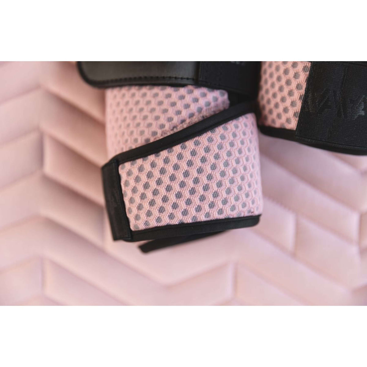 ANKY Schabracke AW25 Suede Dressur Bridal Rose