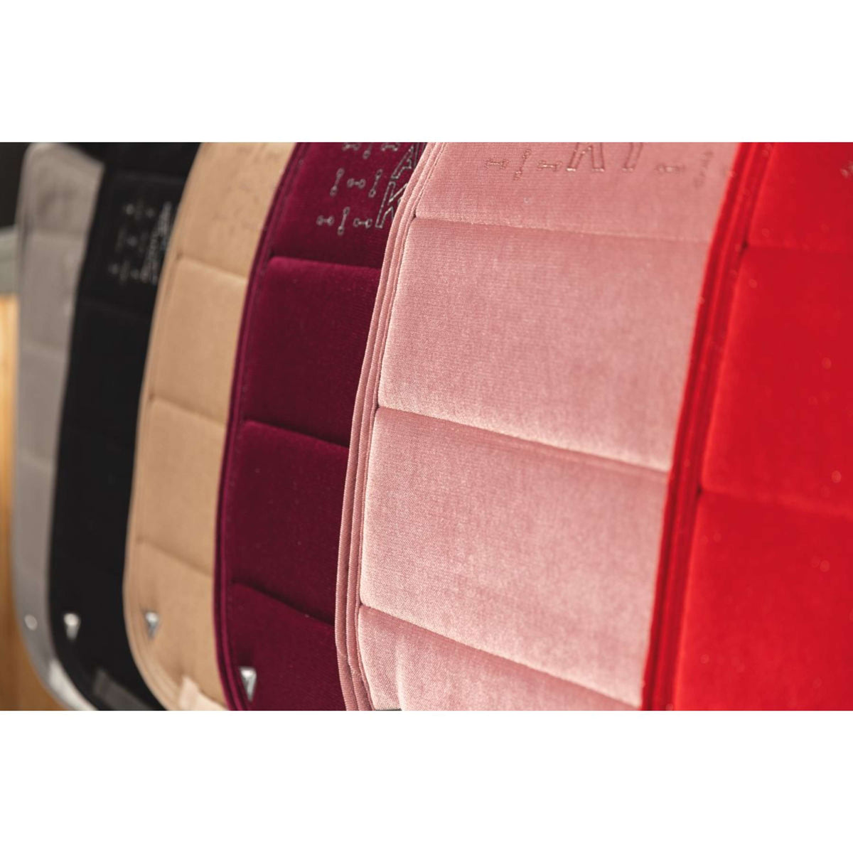 ANKY Schabracke AW25 Velvet Dressur Bridal Rose