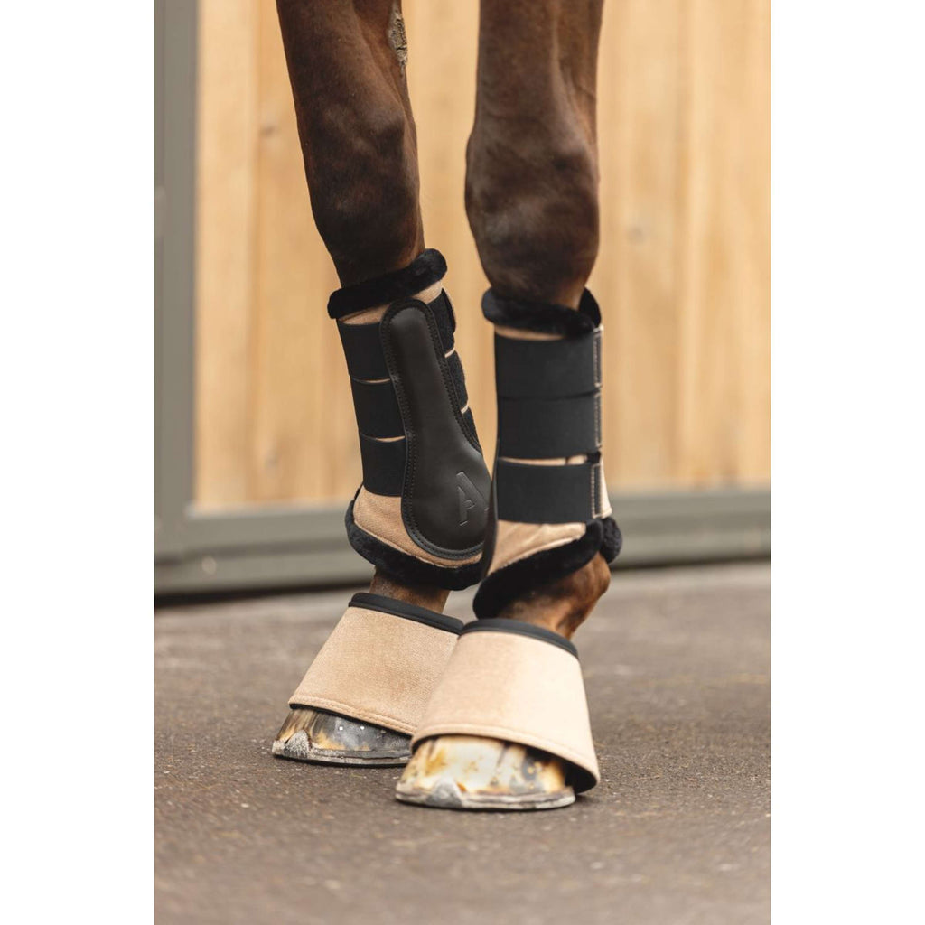 ANKY Hufglocken AW25 Amphora