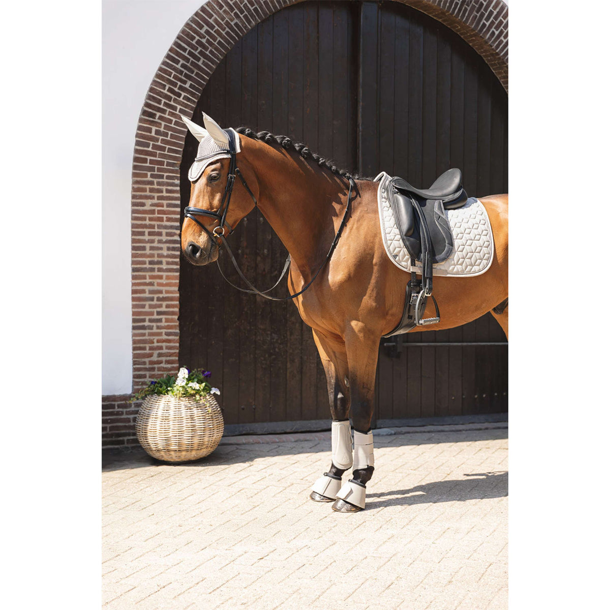 ANKY Hufglocken Bell ATB261003 Island Fossil