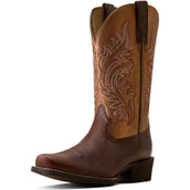 Ariat Westernstiefel Round Up NcToe Damen Espresso