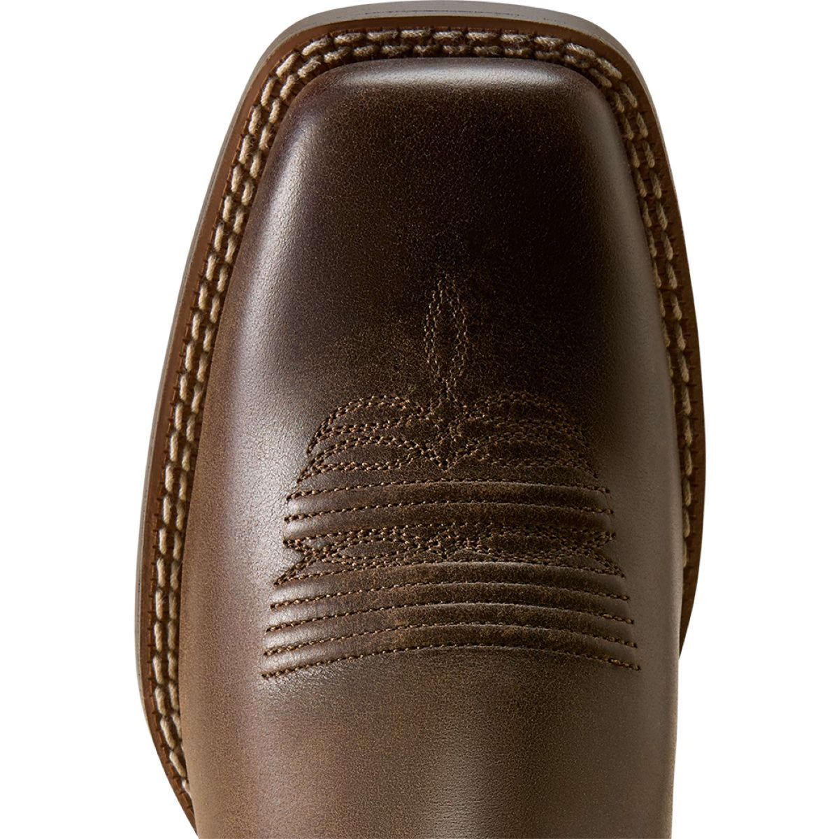 Ariat Westernstiefel Round Up Filly Damen Dark Cacao