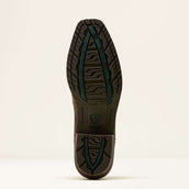 Ariat Westernstiefel Hybrid Roughstock Antler Herren Wild Taupe/Espresso