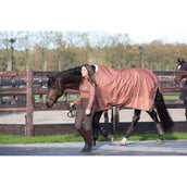 Harry's Horse Reithose Ladis Full Grip Karaffe