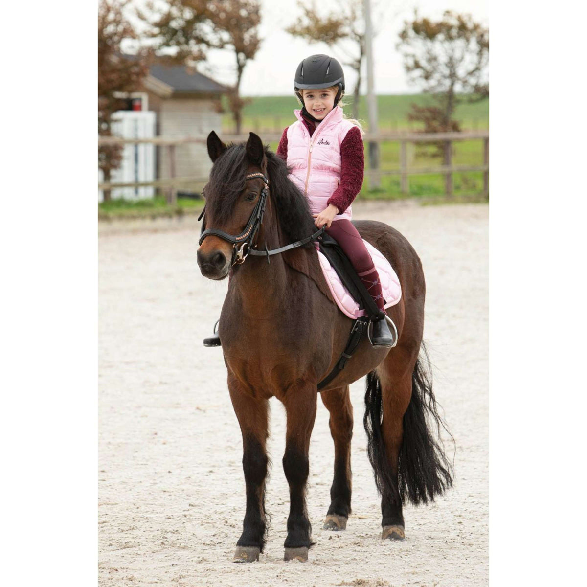 Harry's Horse Weste LouLou Champoussin Silber/Rosa