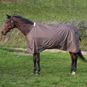 Harry's Horse Regendecke Thor 200g Karaffe